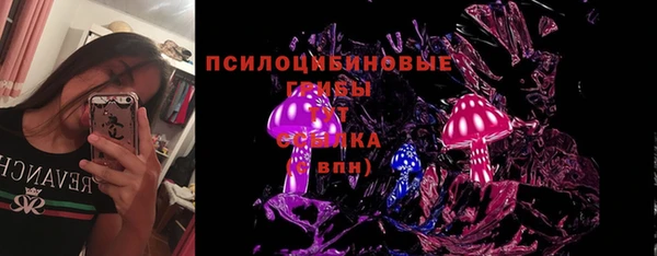 синтетический гашиш Гусиноозёрск
