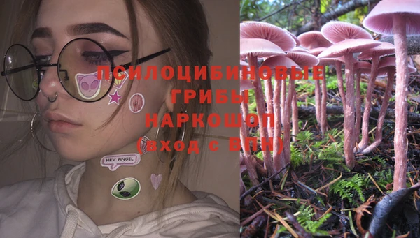 spice Гусев
