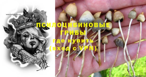 spice Гусев