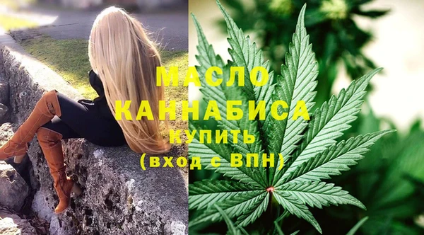 spice Гусев