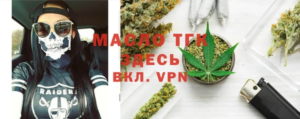 spice Гусев