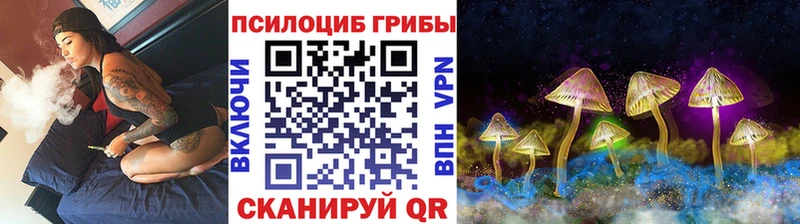 Галлюциногенные грибы Psilocybe  Купить закладки  Лениногорск 